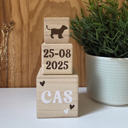 Houten blokkentoren met naam en leeuwtje