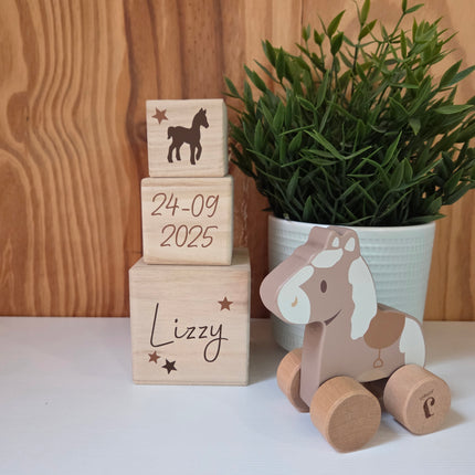 Kraamcadeau pakket Blokkentoren met Houten Paardje Jollein