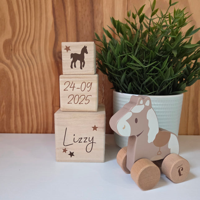 Kraamcadeau pakket Blokkentoren met Houten Paardje Jollein