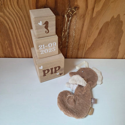 Blokkentoren en speendoekje in zeepaardjes thema