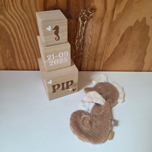 Blokkentoren en speendoekje in zeepaardjes thema