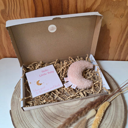 Brievenbus cadeau to the moon and back roze