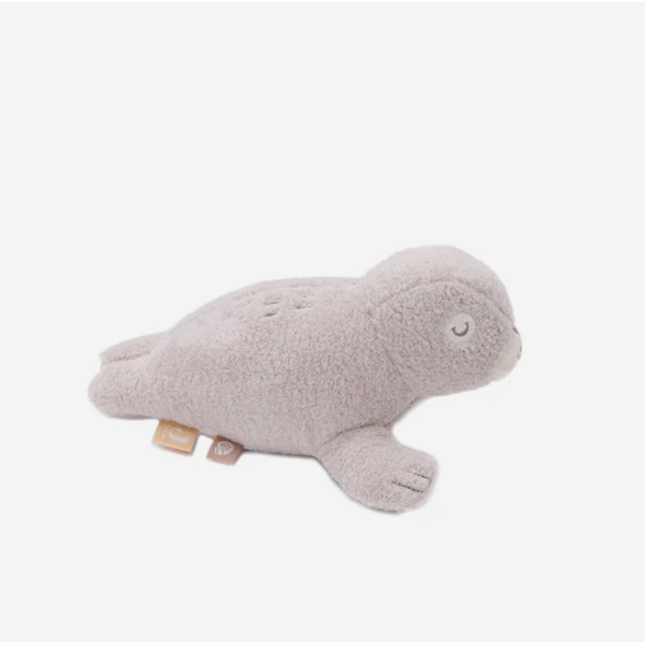 Activity toy voor kinderen zeehond