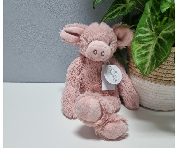 Varken Knuffel, Schattig Zacht Dier Knuffel voor Kantoor Thuis